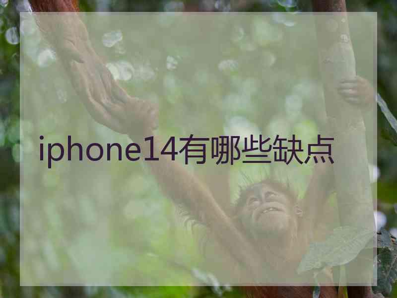 iphone14有哪些缺点