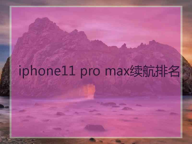 iphone11 pro max续航排名