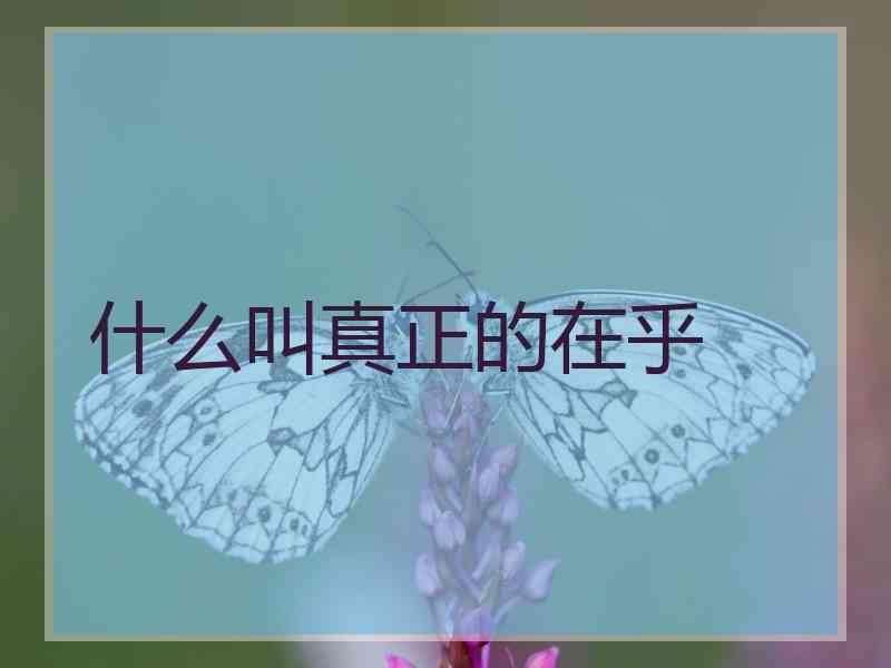 什么叫真正的在乎