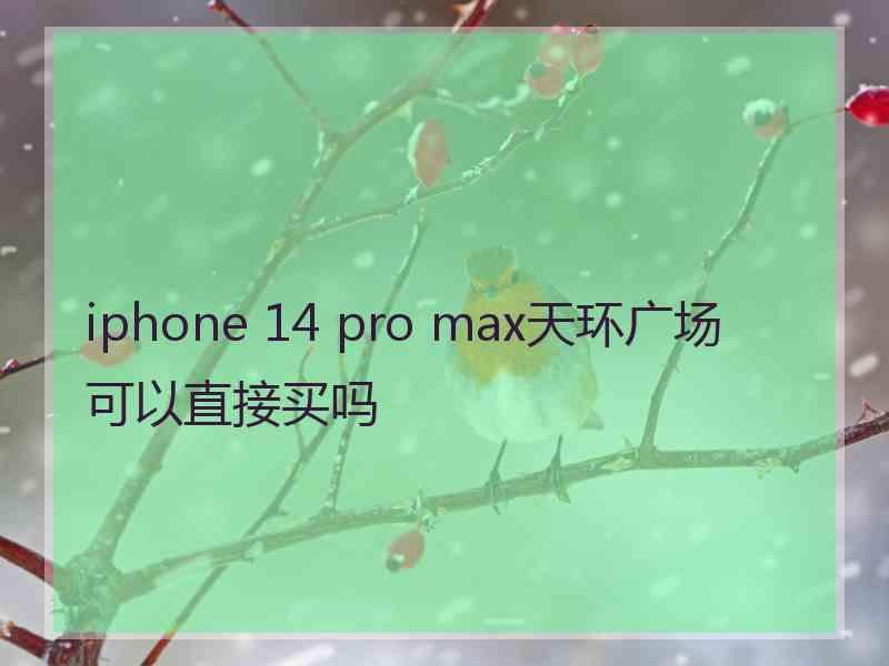 iphone 14 pro max天环广场可以直接买吗