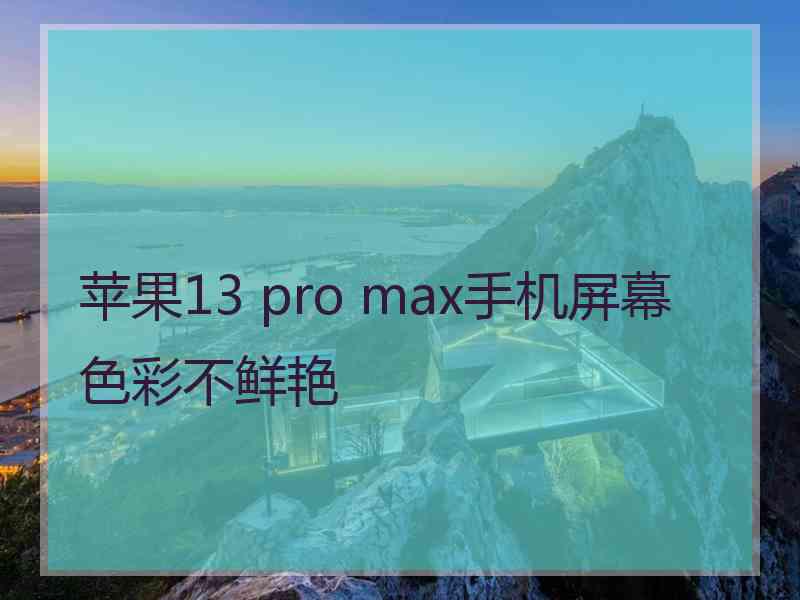 苹果13 pro max手机屏幕色彩不鲜艳