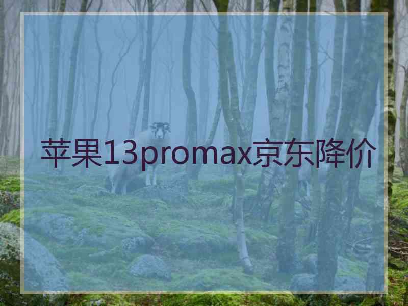 苹果13promax京东降价