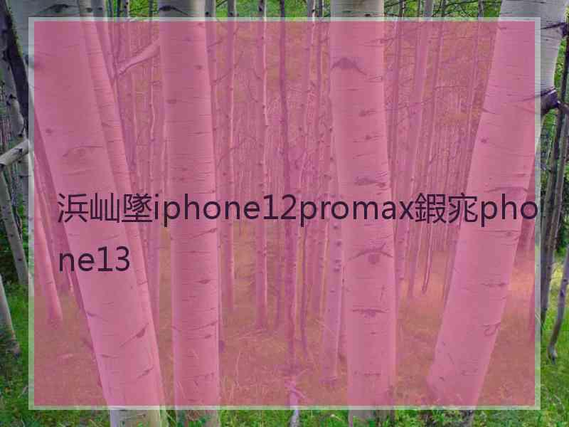 浜屾墜iphone12promax鍜宨phone13