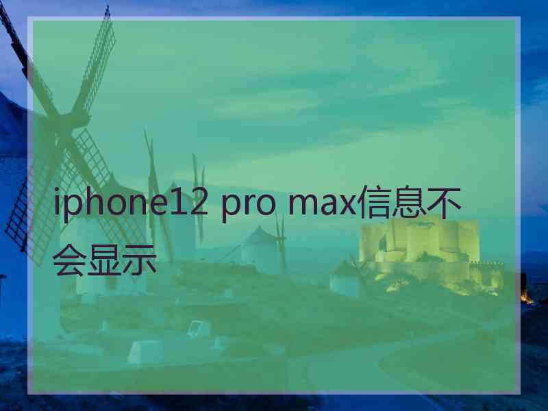 iphone12 pro max信息不会显示