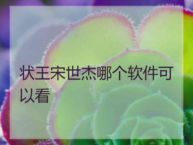 状王宋世杰哪个软件可以看