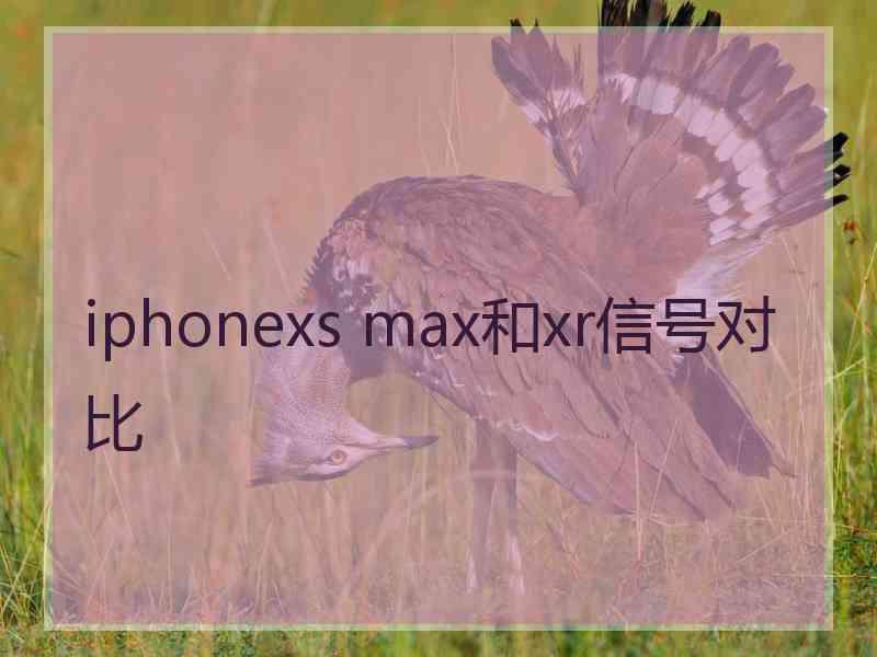 iphonexs max和xr信号对比