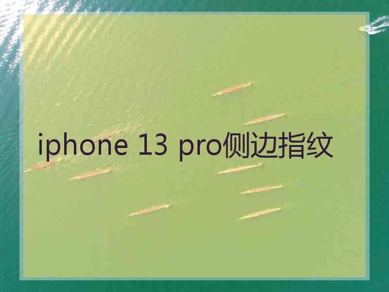 iphone 13 pro侧边指纹