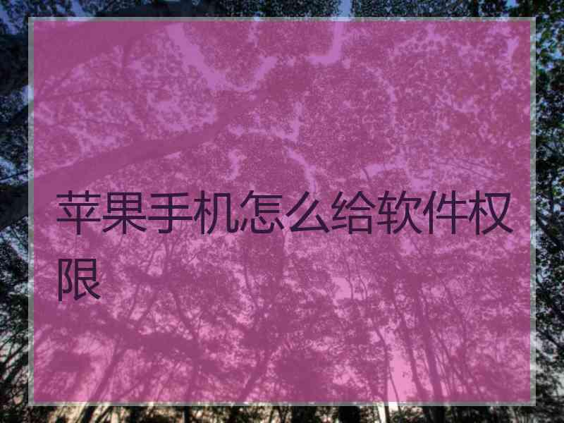 苹果手机怎么给软件权限