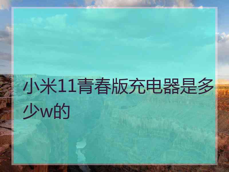 小米11青春版充电器是多少w的