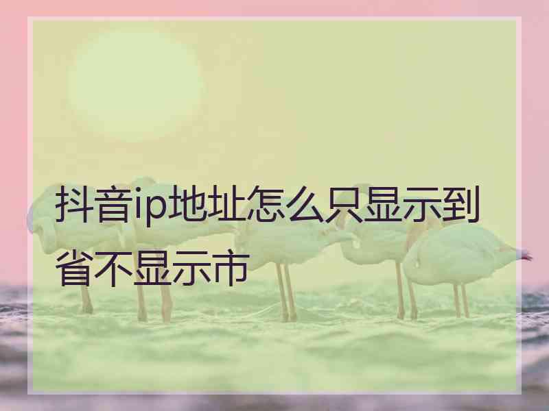 抖音ip地址怎么只显示到省不显示市