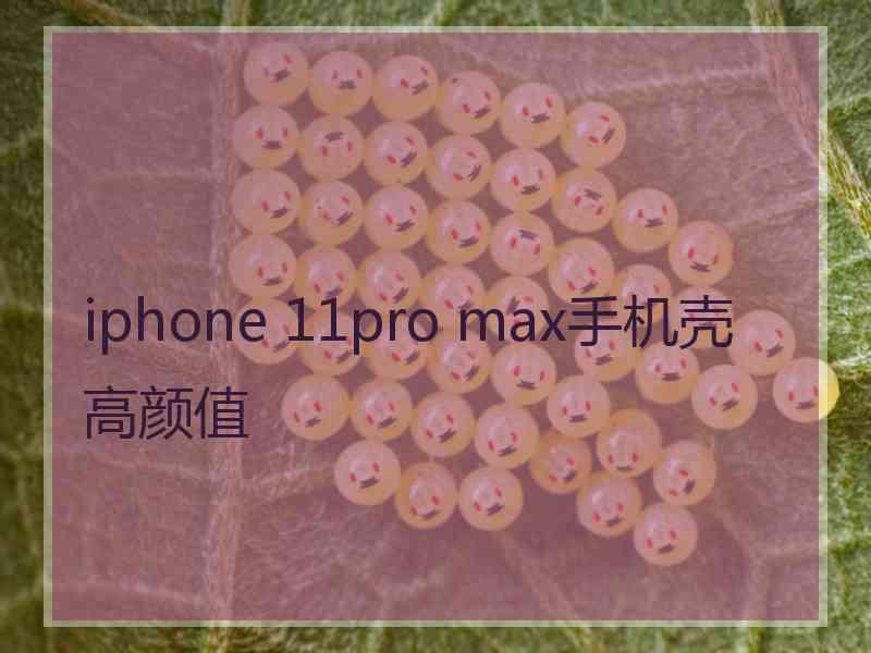 iphone 11pro max手机壳高颜值