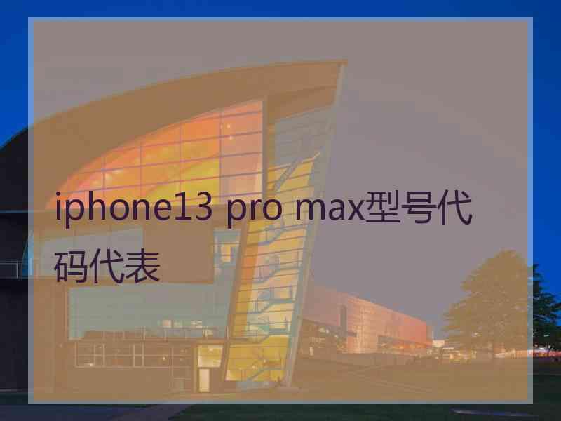 iphone13 pro max型号代码代表