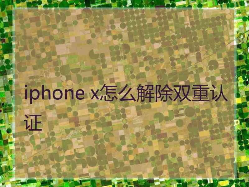 iphone x怎么解除双重认证