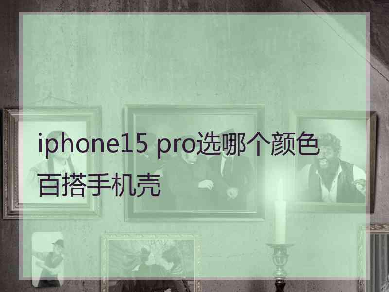 iphone15 pro选哪个颜色百搭手机壳