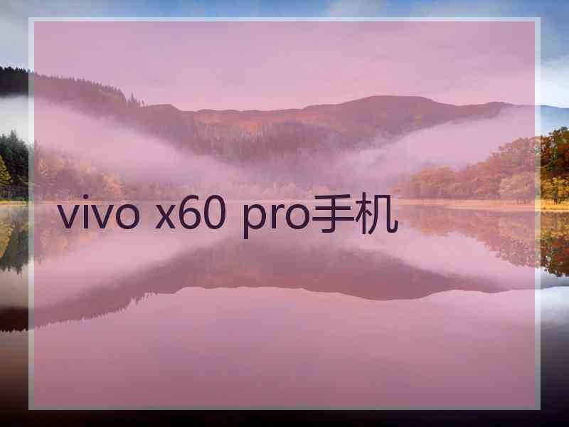 vivo x60 pro手机