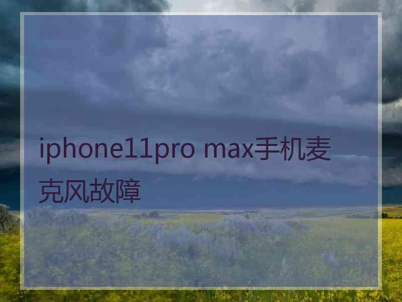 iphone11pro max手机麦克风故障