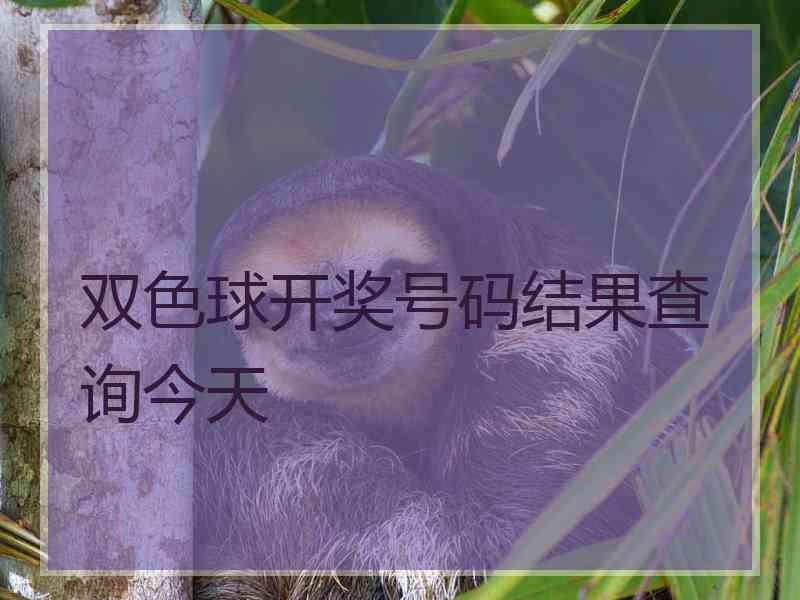 双色球开奖号码结果查询今天