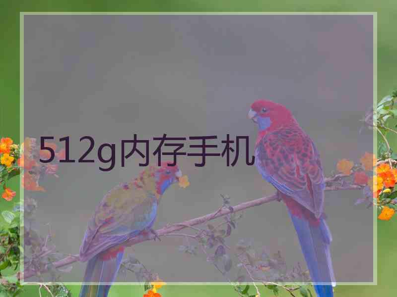 512g内存手机