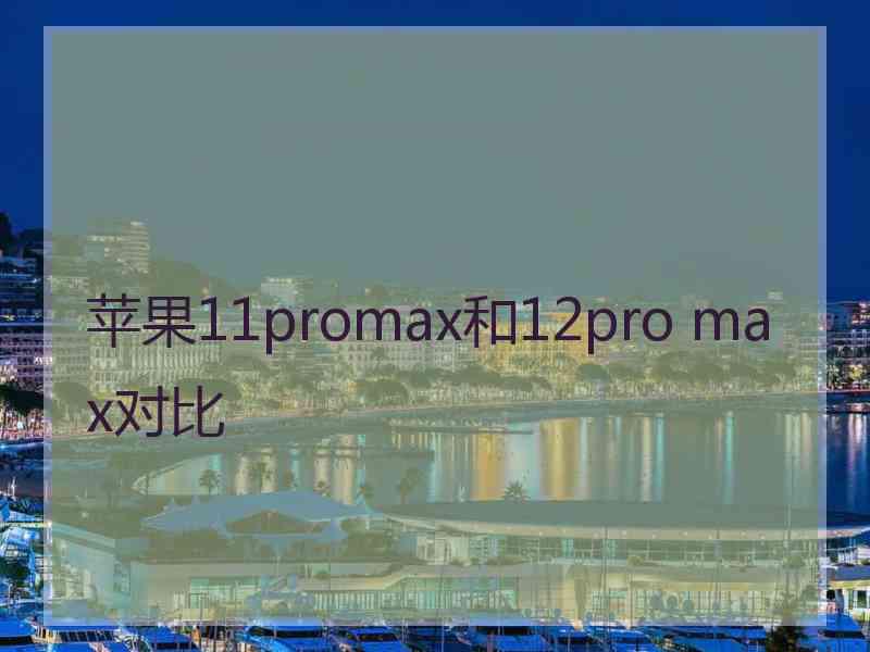 苹果11promax和12pro max对比