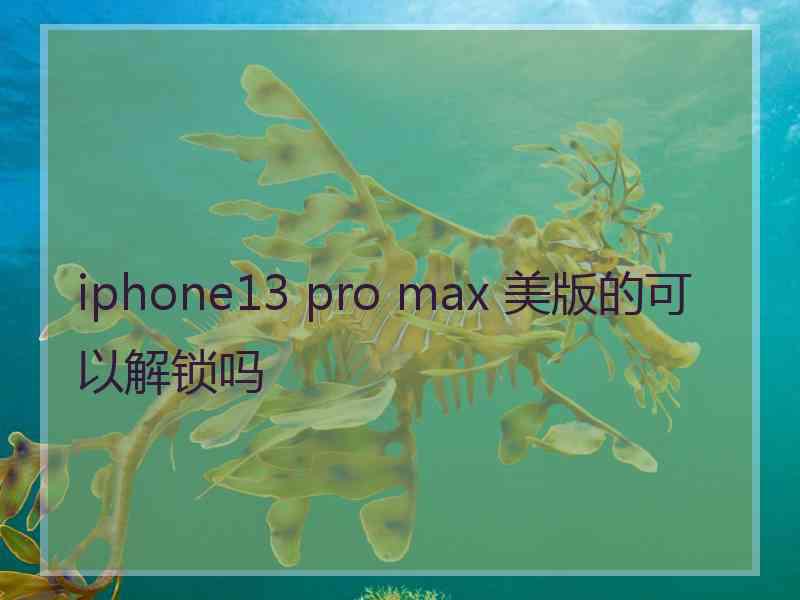 iphone13 pro max 美版的可以解锁吗