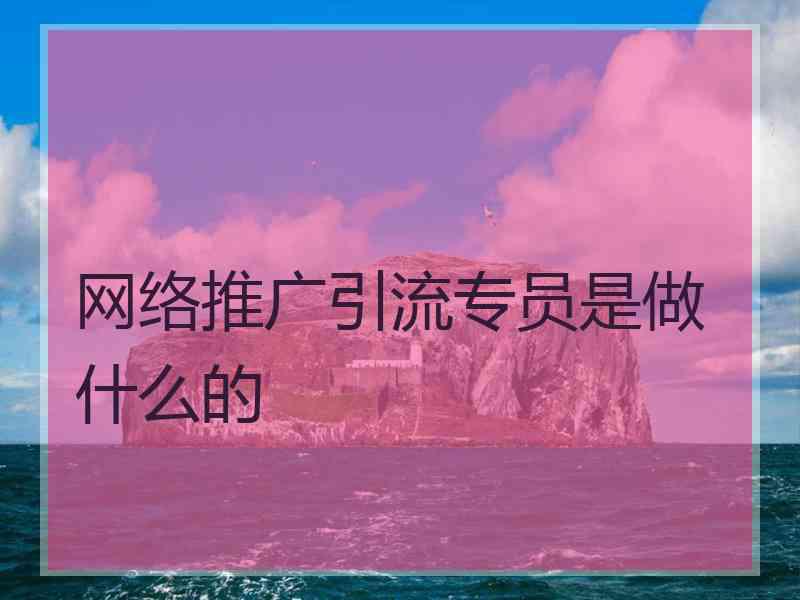 网络推广引流专员是做什么的