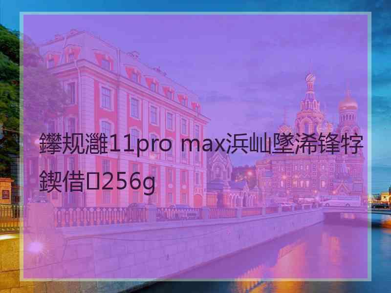 鑻规灉11pro max浜屾墜浠锋牸鍥借256g