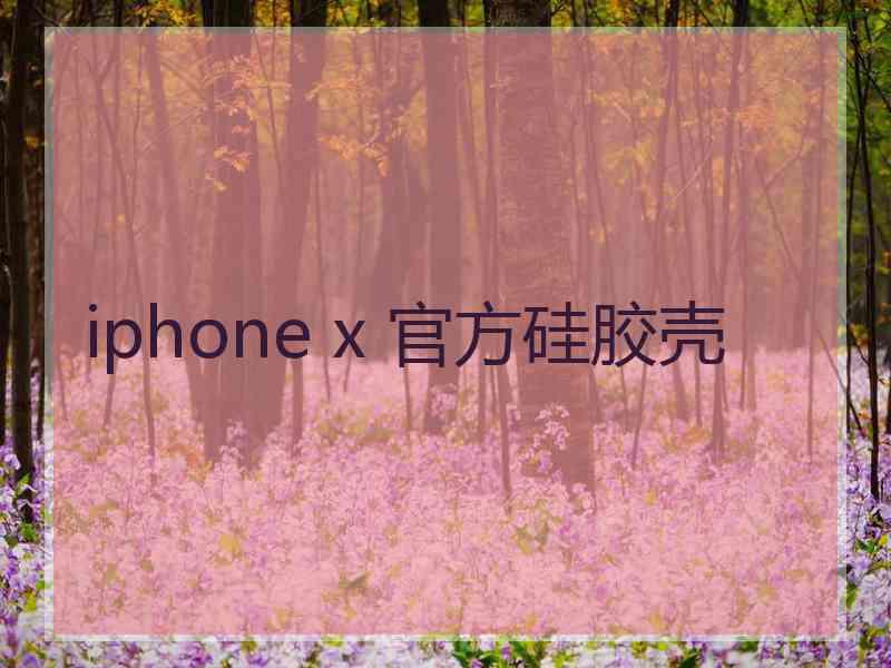 iphone x 官方硅胶壳