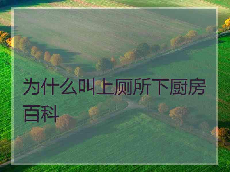 为什么叫上厕所下厨房百科