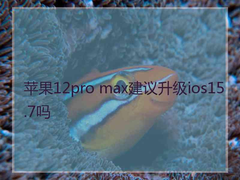 苹果12pro max建议升级ios15.7吗