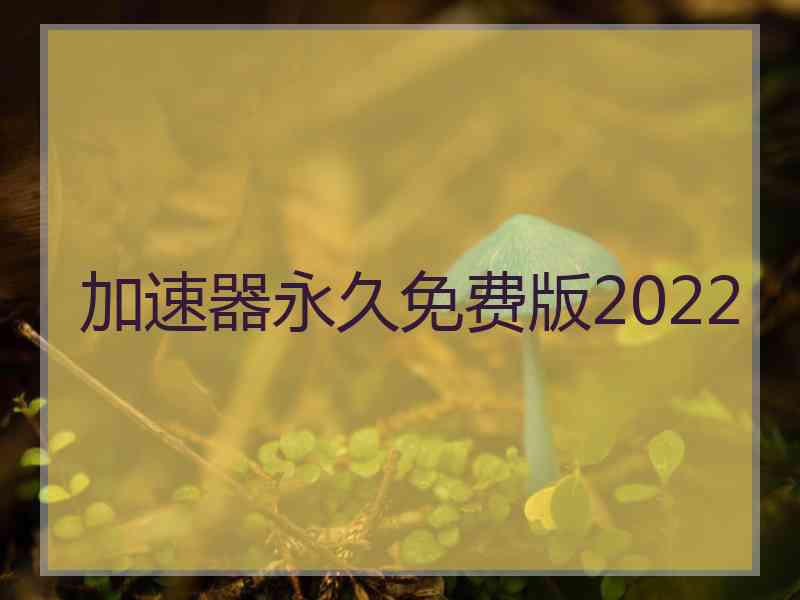 加速器永久免费版2022