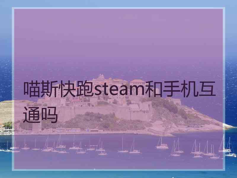 喵斯快跑steam和手机互通吗