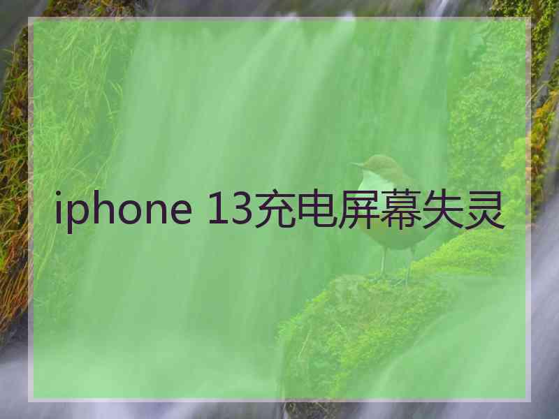 iphone 13充电屏幕失灵