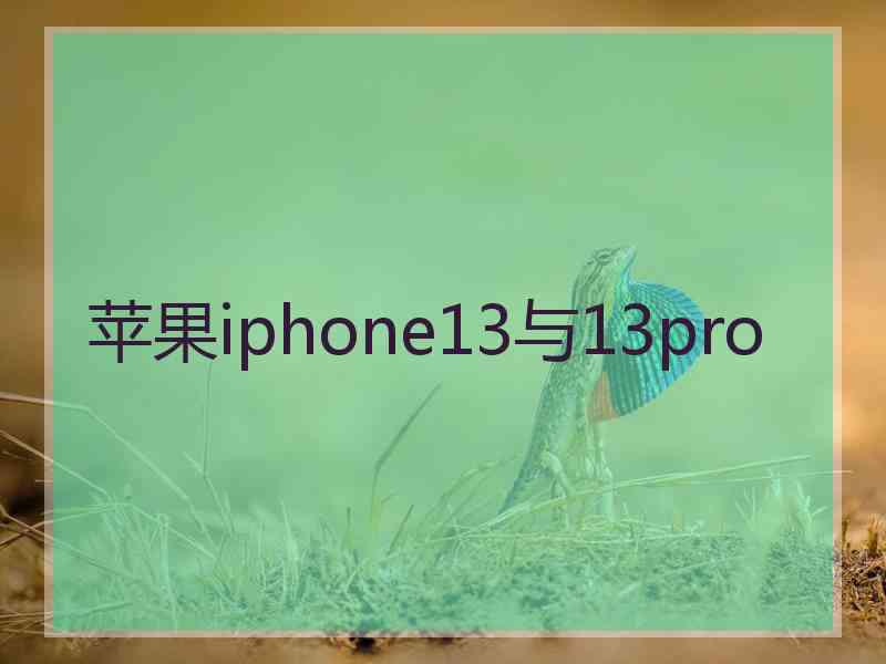 苹果iphone13与13pro