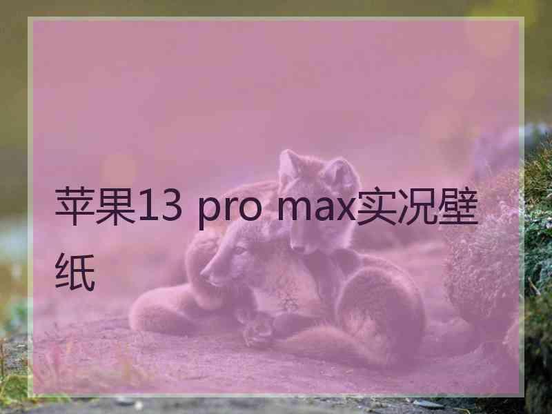 苹果13 pro max实况壁纸