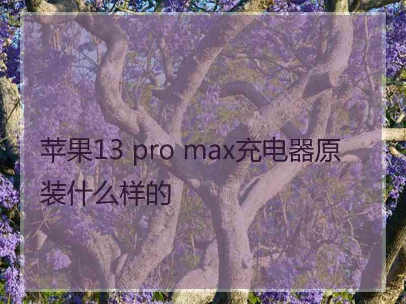 苹果13 pro max充电器原装什么样的