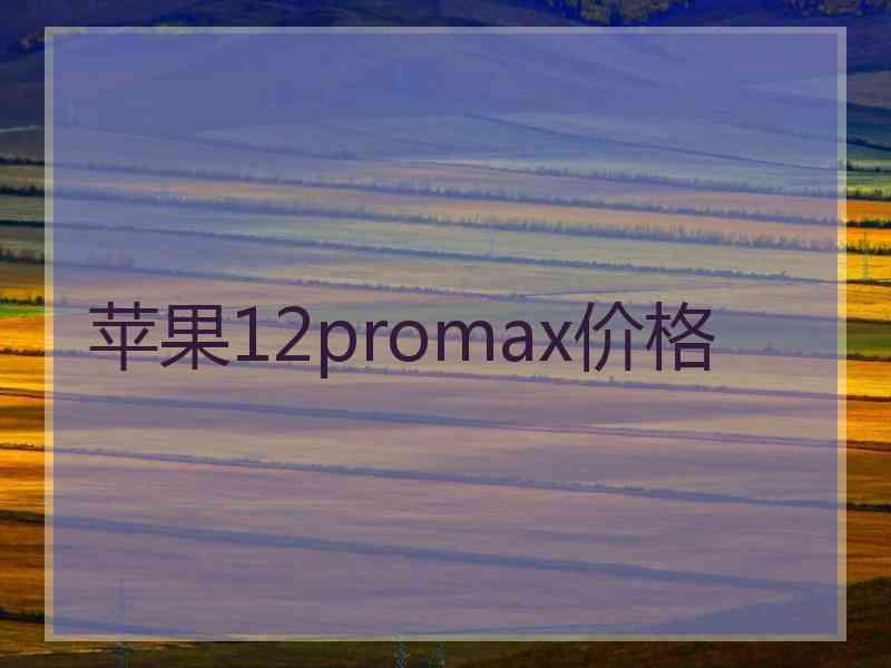 苹果12promax价格