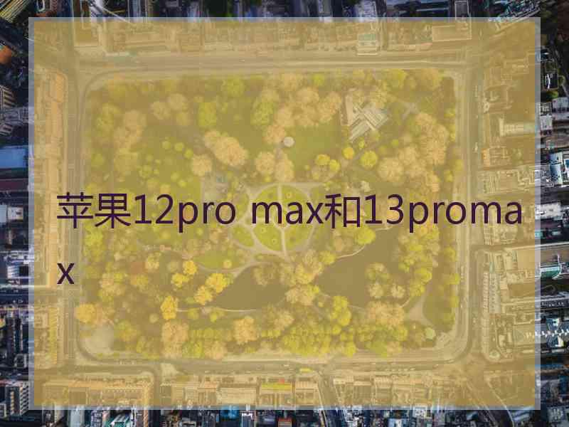 苹果12pro max和13promax