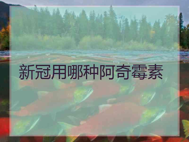 新冠用哪种阿奇霉素