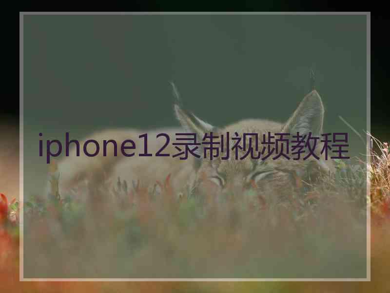 iphone12录制视频教程