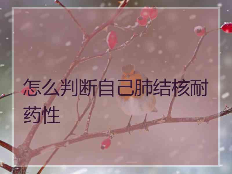 怎么判断自己肺结核耐药性