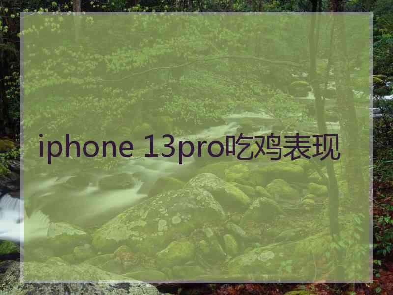 iphone 13pro吃鸡表现