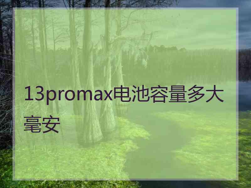 13promax电池容量多大毫安