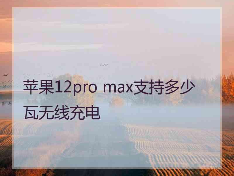 苹果12pro max支持多少瓦无线充电