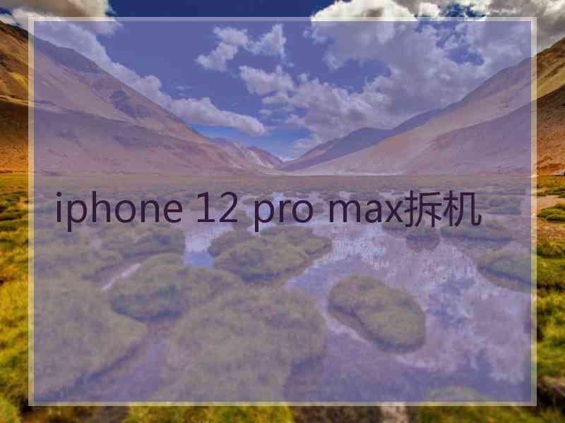 iphone 12 pro max拆机