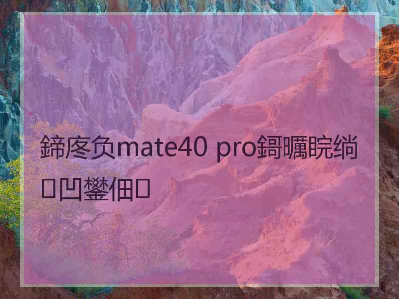 鍗庝负mate40 pro鎶曞睆绱㈠凹鐢佃