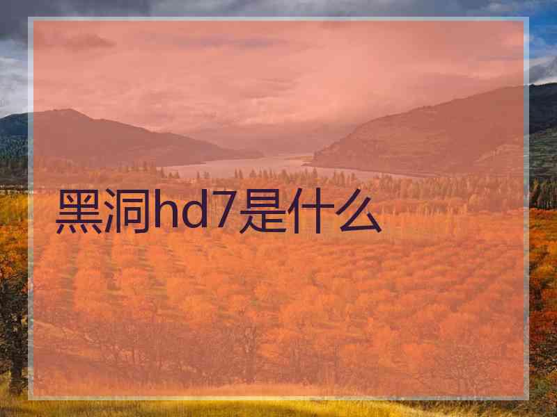 黑洞hd7是什么