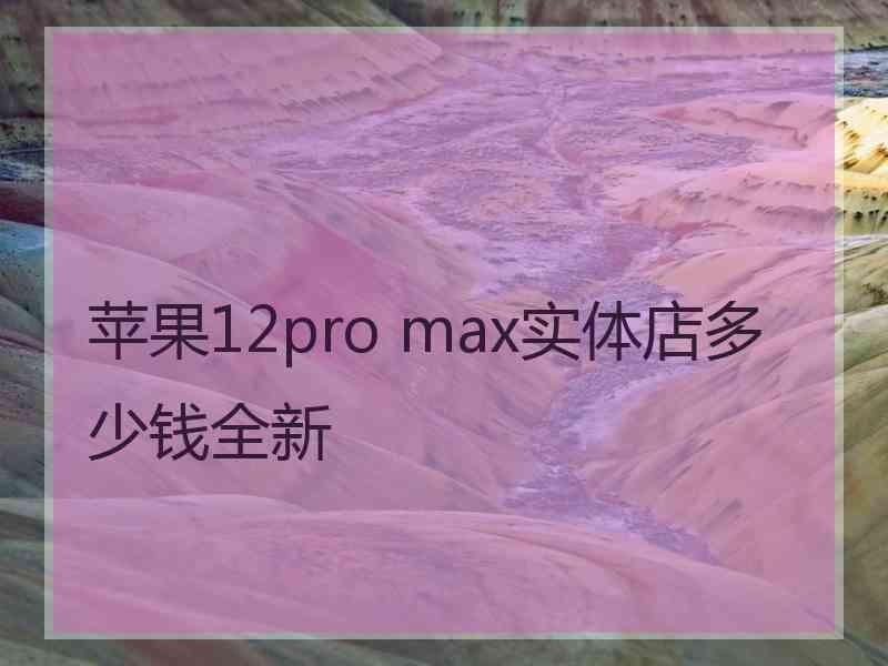 苹果12pro max实体店多少钱全新