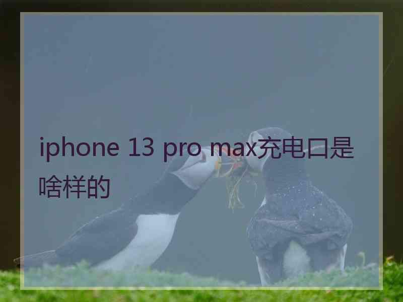 iphone 13 pro max充电口是啥样的