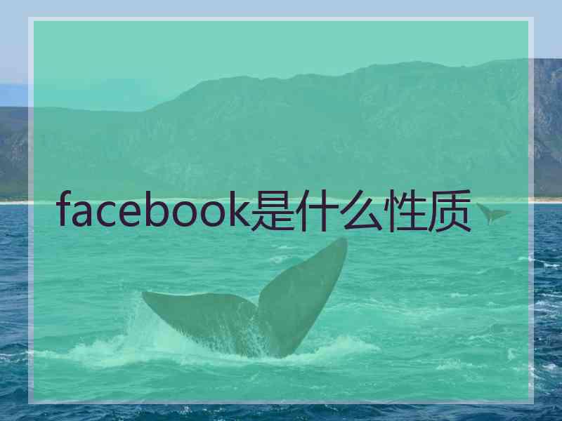 facebook是什么性质