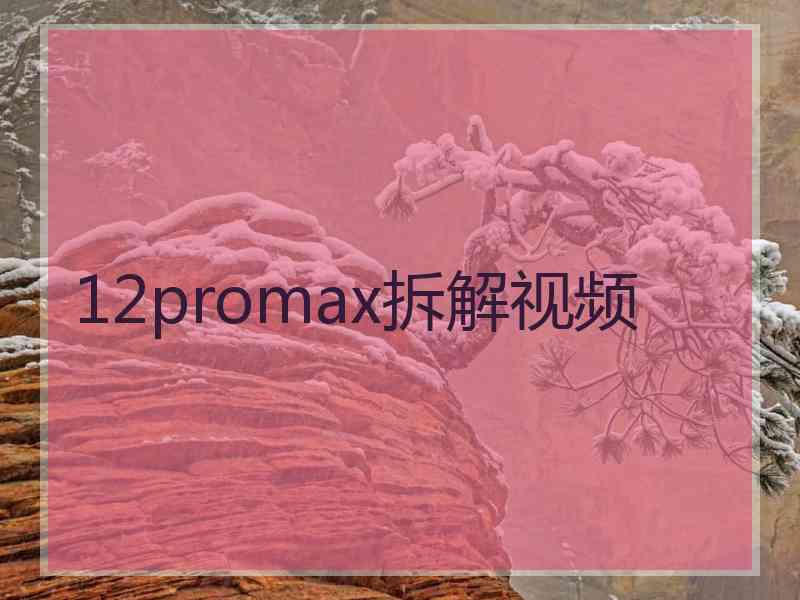 12promax拆解视频